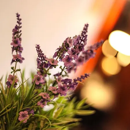 Sottosopra Gallipolli