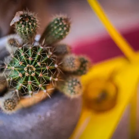 Bed & Breakfast Sottosopra 3*